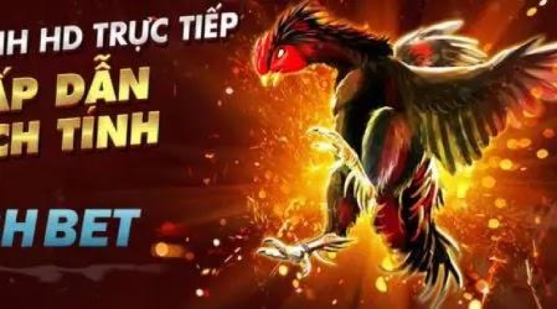 SHBET – Nơi hội tụ nhiều sảnh game trực tuyến hấp dẫn nhất 