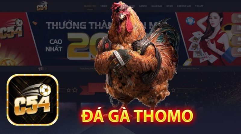 Cao thủ chia se mẹo bắt kèo đá gà tại C54 thành công