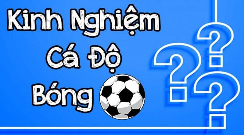 Kinh nghiệm chơi cá độ dễ ăn nhất tại Ku11